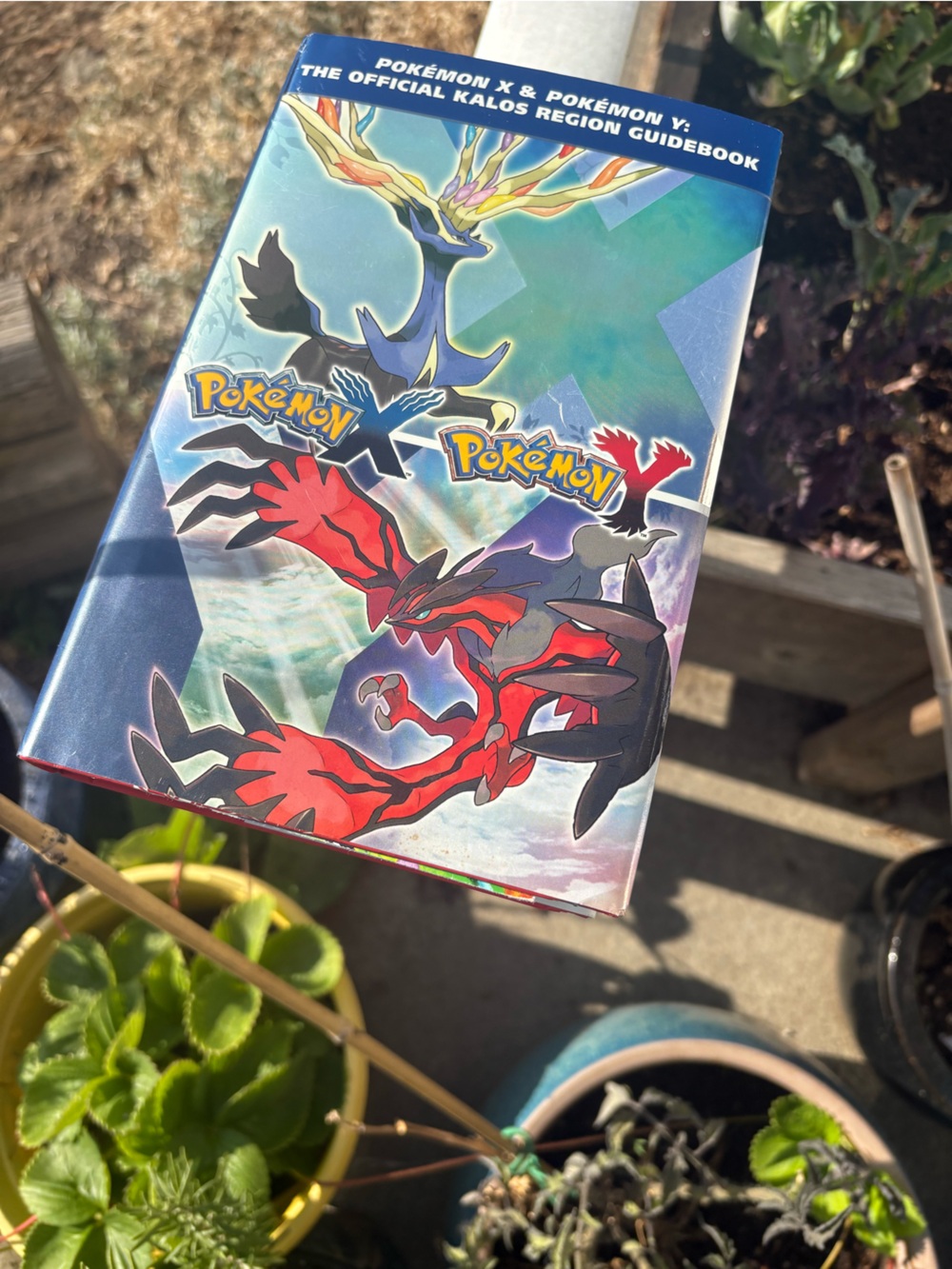 Pokémon Hard Cover Book The Official Kalos Region Guidebook